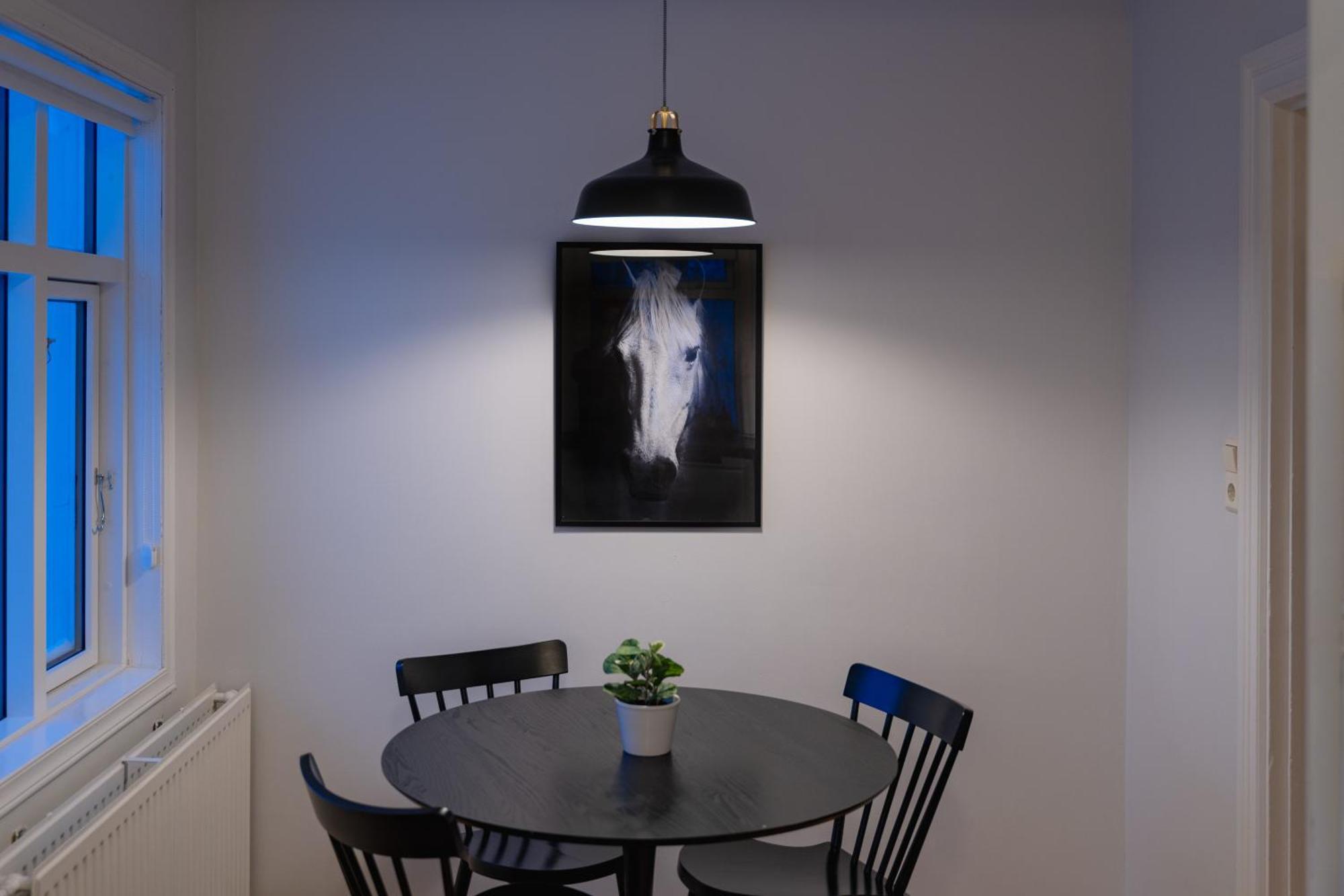Day Dream Central Akureyri Three Bedroom Apt المظهر الخارجي الصورة